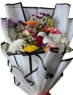 Lily Mix Boquete White